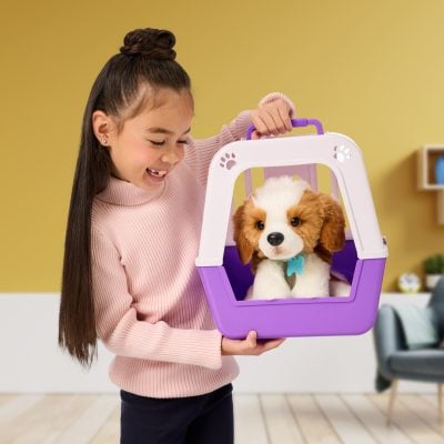 02 26548_LLP_MRR_PUPPY_LIFESTYLE_1X1_BG_02