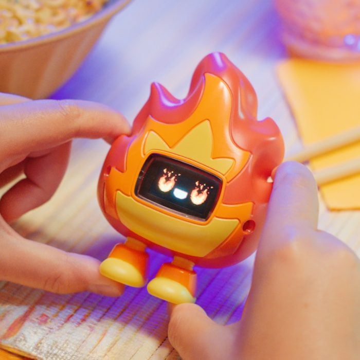BB fire lifestyle
