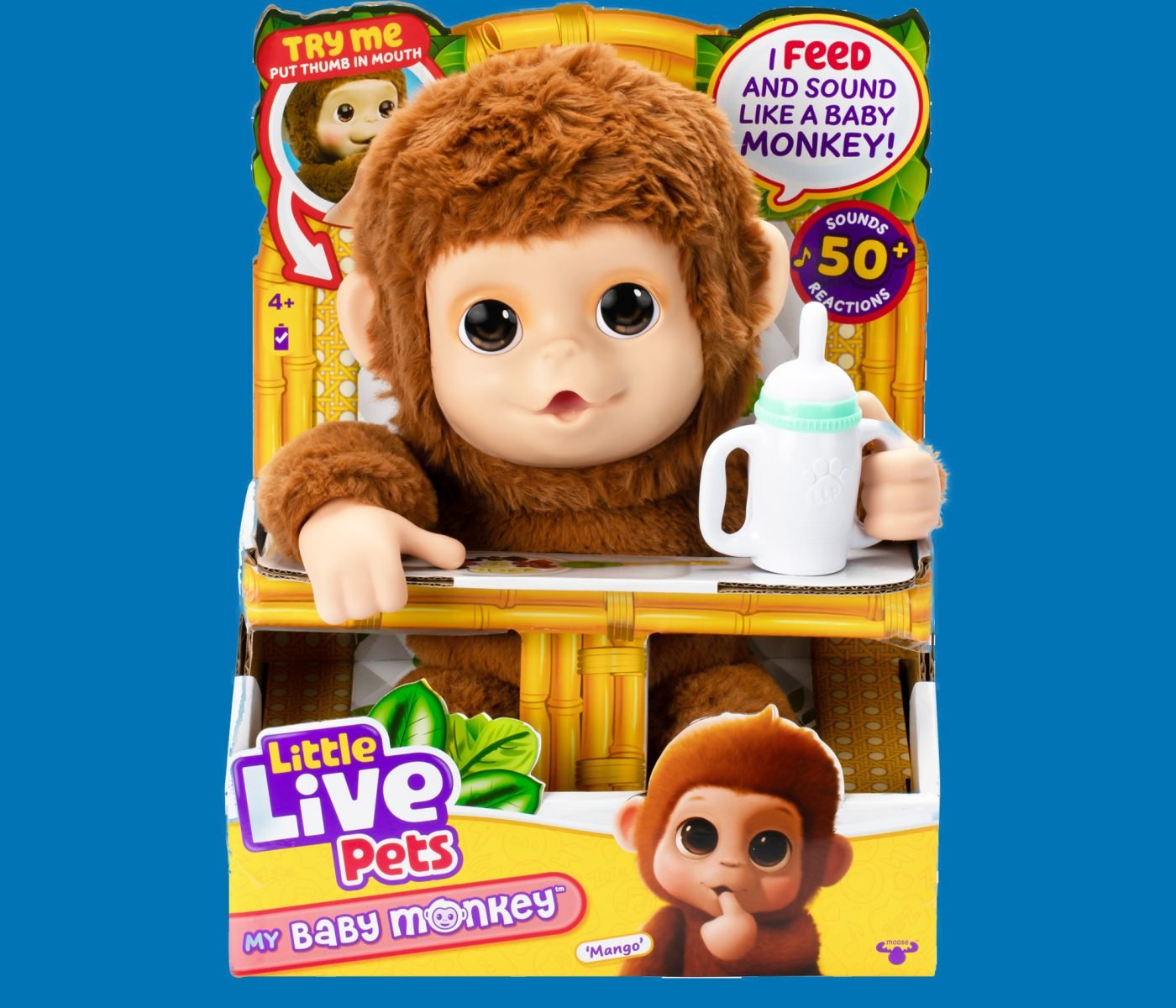 monkey